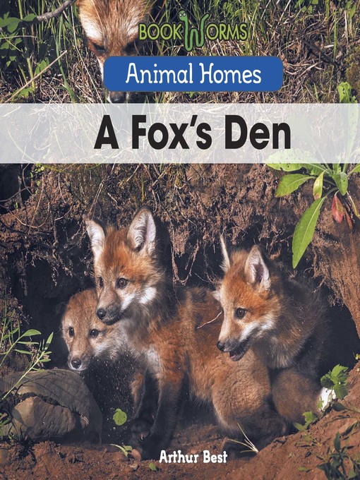 Cover image for A Fox's Den
